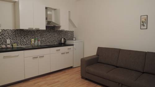 Apartment Zizkov
