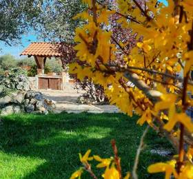 Туры в La Rosa dei Trulli B B в Италии