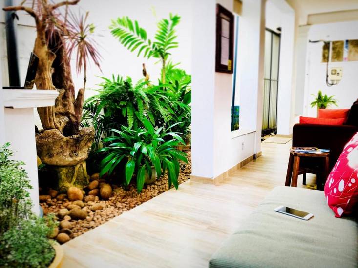 Hotel Dorset 3* Шри-Ланка, Негомбо