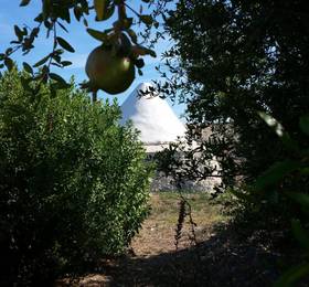 Отдых в I Trulli Sul Mare - Италия, Трани