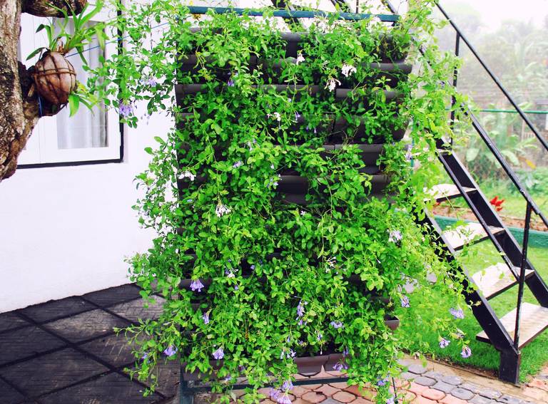 Organic Villa