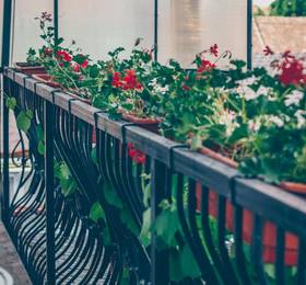 Отдых в Pension Gasthof Sara - Румыния, Сибиу