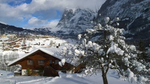 Chalet Louwischiirli Швейцария, Гриндельвальд