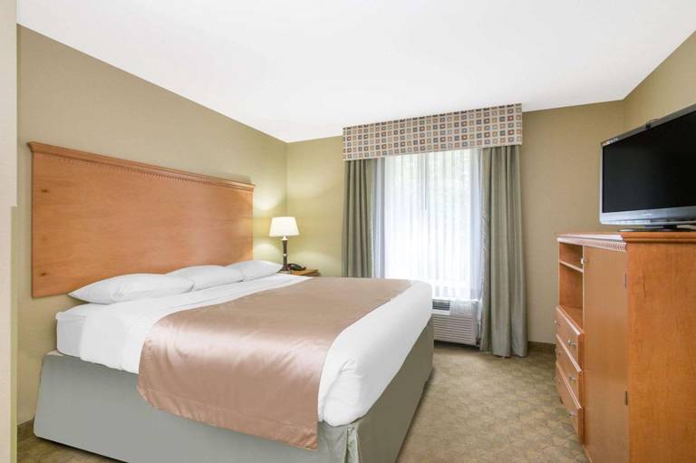 Super 8 Savannah