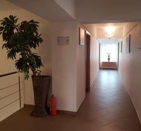 Отдых в Casa Leului - Румыния, Мамая