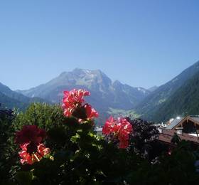 Edelweiss Gasthof Restaurant Б/К в Майрхофене