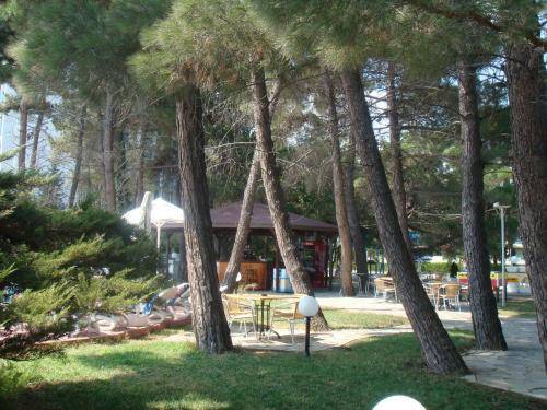 Rila 2* Болгария, Золотые Пески