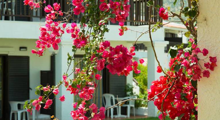 Golden Coast Hotel & Bungalows