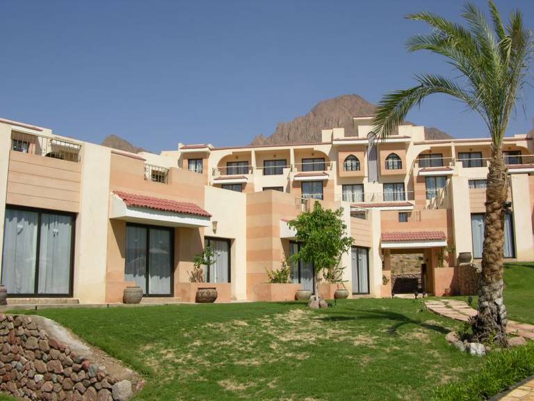 Morgana Azur Taba