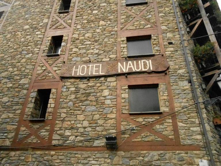 Naudi