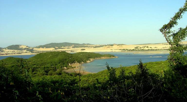 Whale Island Resort