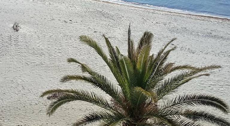 Avra