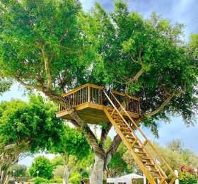 Туры в Dan Caesarea в Израиле