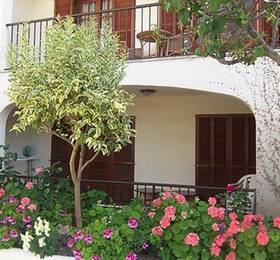 Delfin Casa Vida в Майорке