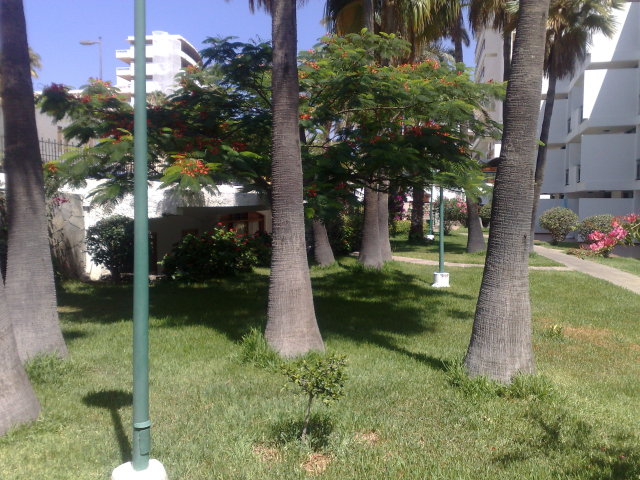 El Palmar Apt