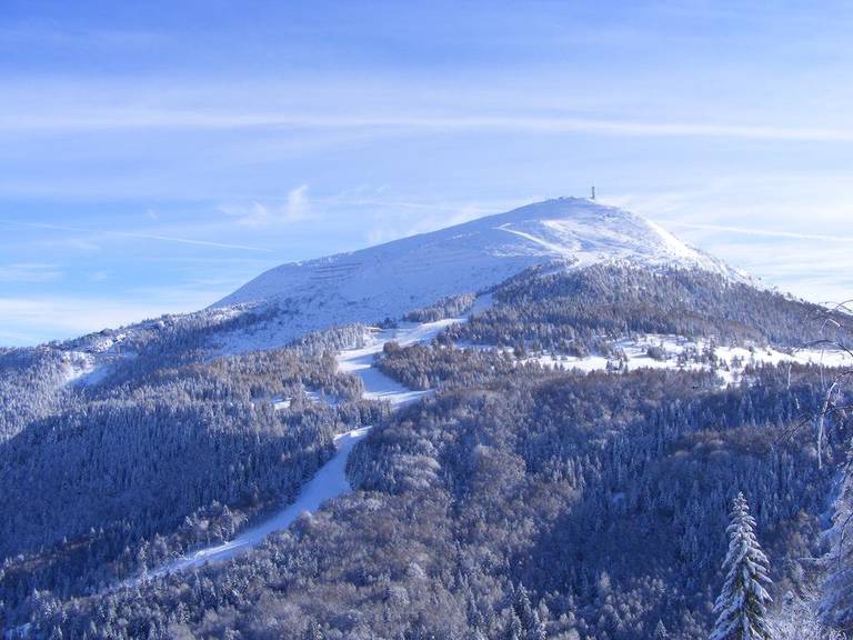 Alpine Mugon Monte Bondone