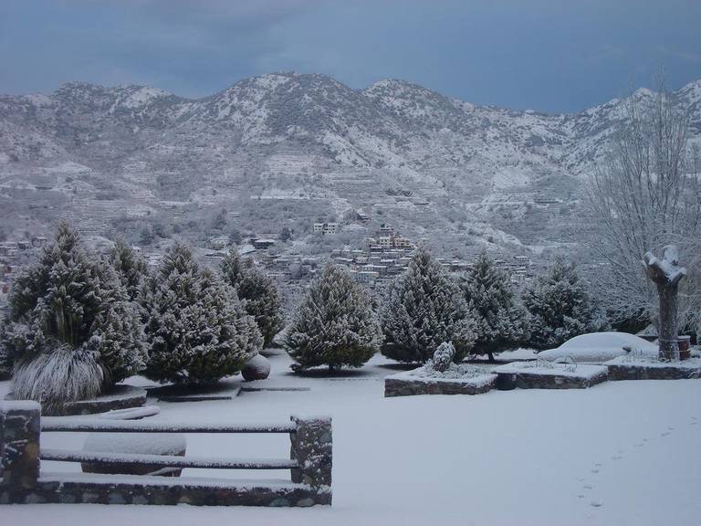 Rodon Hotel and Resort