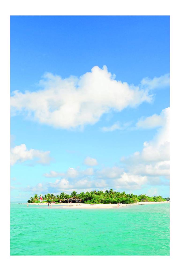 Fun Island