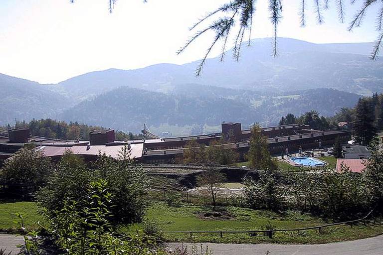 Orle Gniazdo