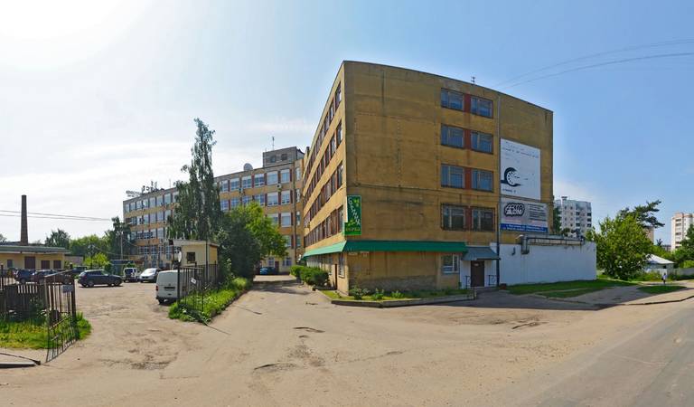 Верба