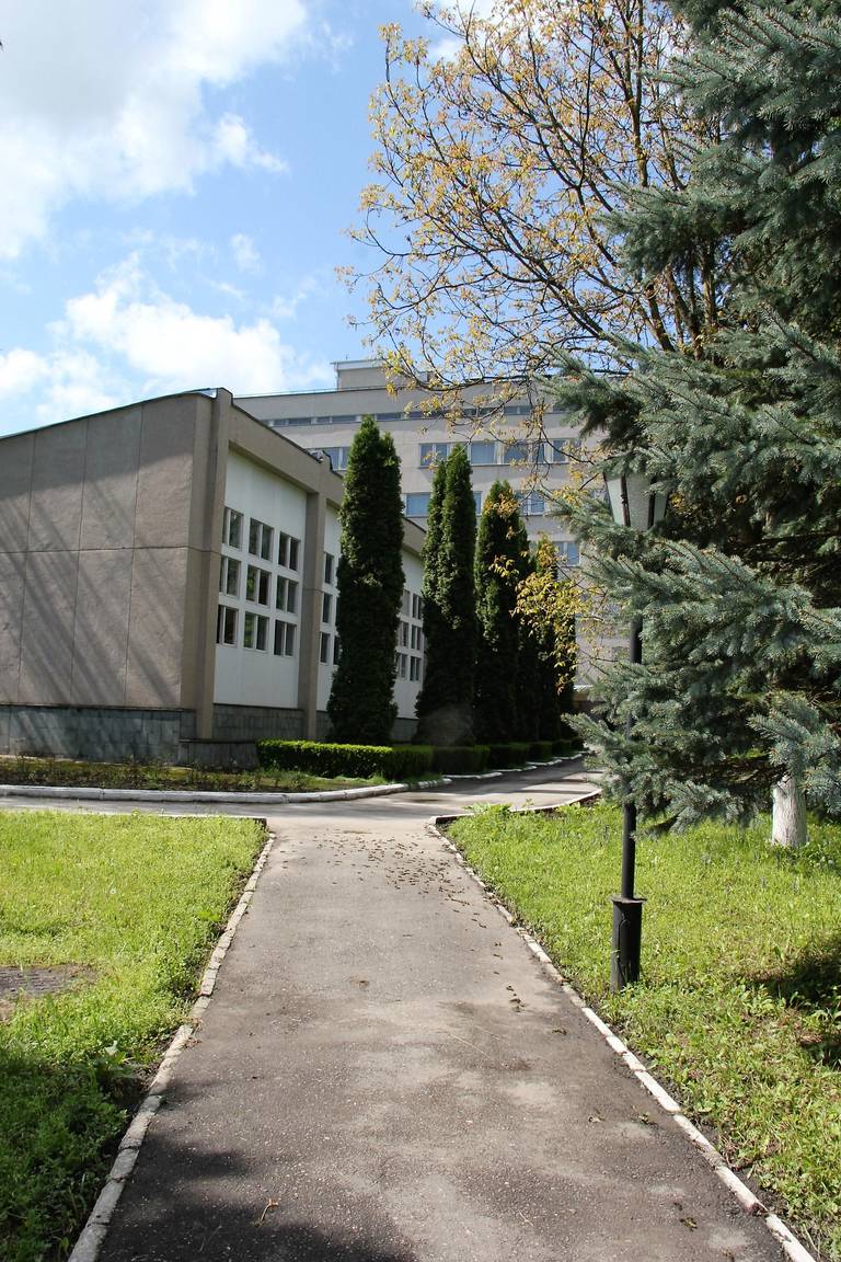 Голубые Ели