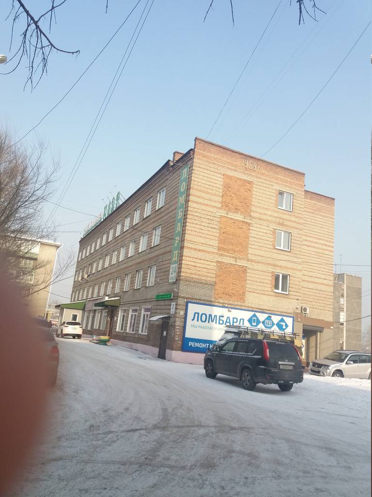 Кедр