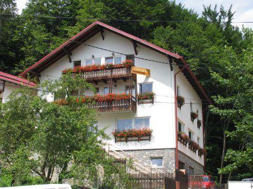 Thomas Pension 3* Румыния, Южные Карпаты