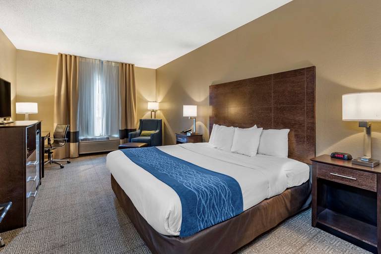 Comfort Inn & Suites Downtown