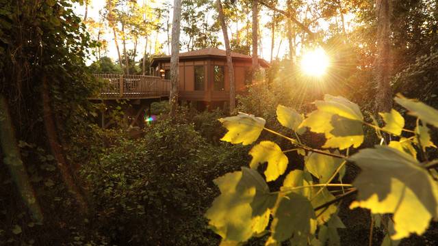 Disney Saratoga Springs Resort & Spa 4* США, Джексонвилль, шт. Флорида