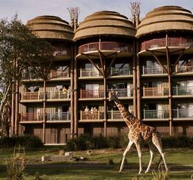 Disney’S Animal Kingdom Lodge в Джексонвилле