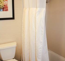 Туры в Hilton Garden Inn Houston Galleria в США