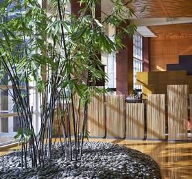 Туры в Mandarin Oriental Miami в США