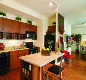 Отдых в Mda Chicago City Apt - США, Декейтер (шт. Иллинойс)