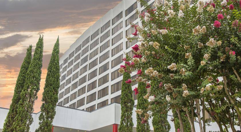 Omni 5* США, Калифорния