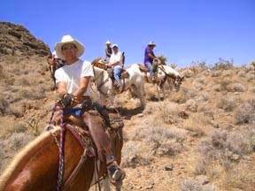 Sandy Valley Ranch 4* США, Невада