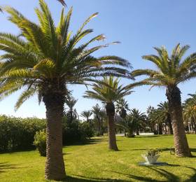 Caribbian World Skanes в Монастире