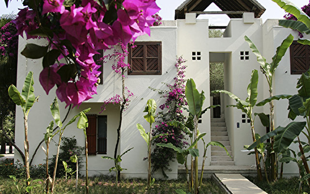 Club Med Palmiye Tatil Koyu