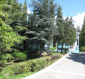 Коралл в Гурзуфе