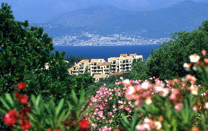 Terra Bella