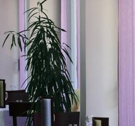 Bluesun Holiday Village Velaris в Супетаре