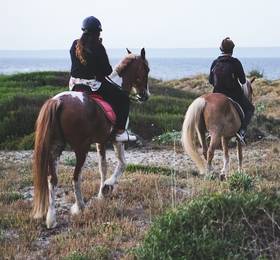 Horse Country в Сардинии