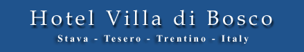 Hotel Villa Di Bosco Sup 3* Италия, Валь-ди-Фьемме