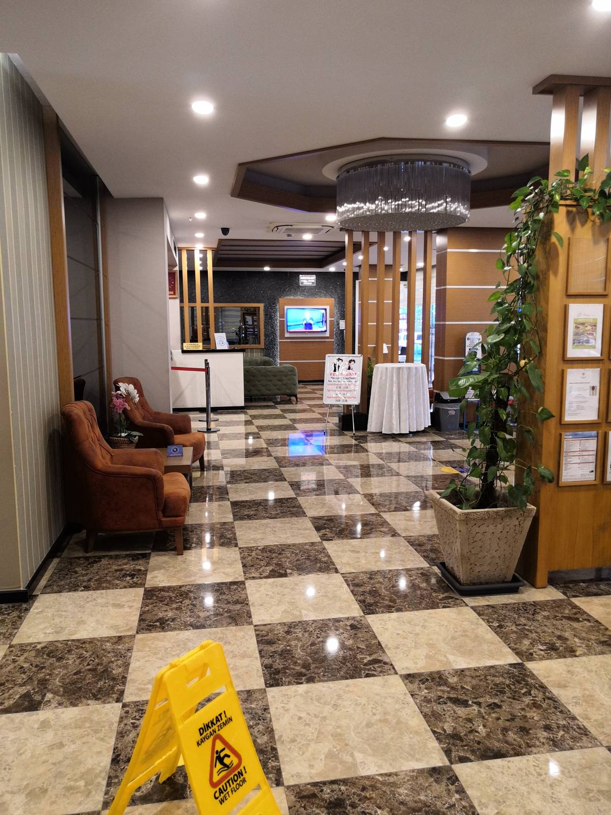 Lonicera City Kleopatra 3*, ,  -  2026,   ,