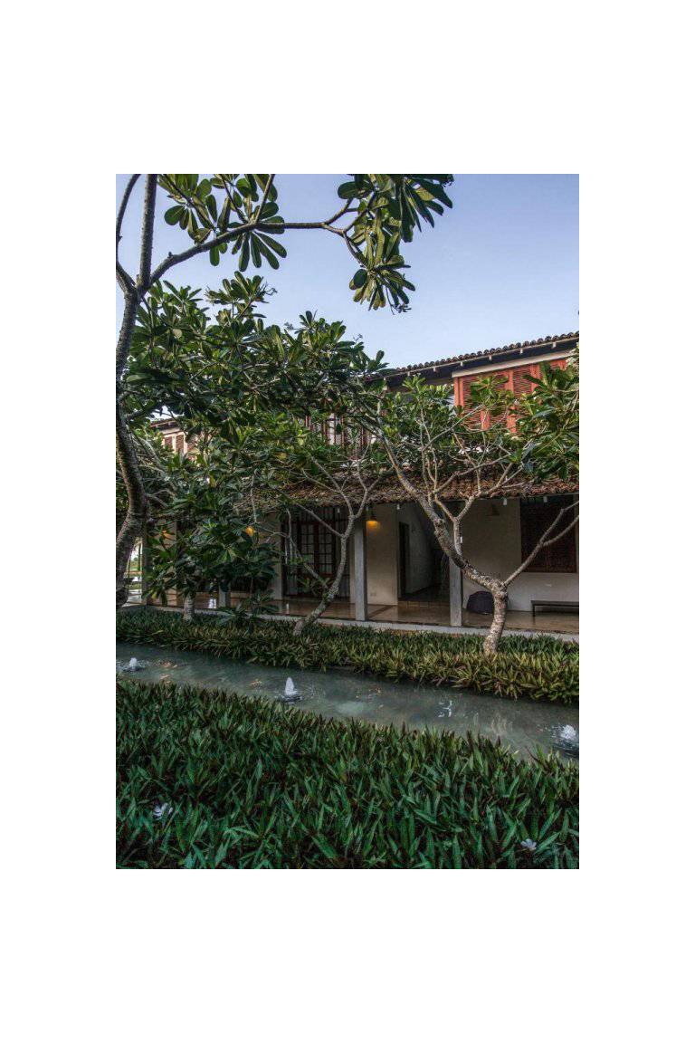 The Frangipani Tree By Edwards Collection