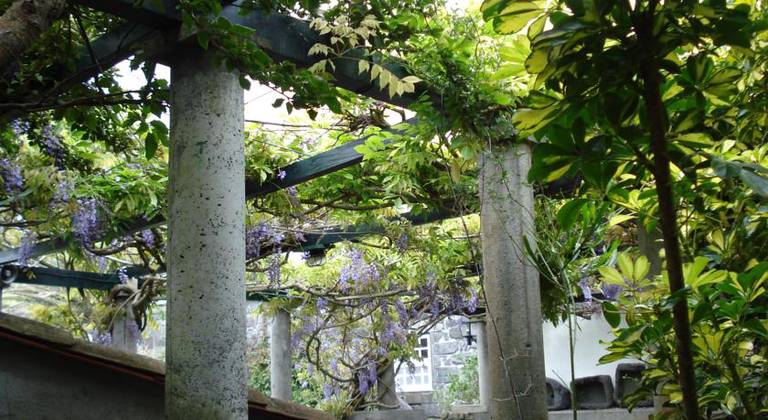 Quinta Das Buganvilias  Apt