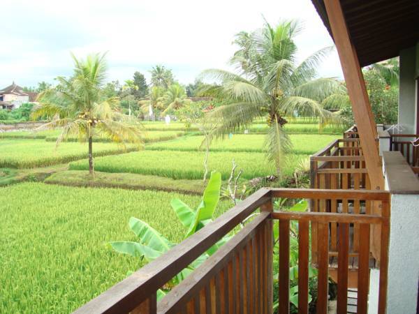 Anini Raka Resort & Spa 4* Индонезия, Убуд