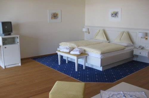 Olympia 3* Италия, Брунико