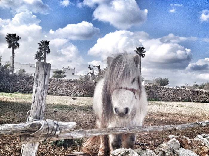 Masseria Relais Del Cardinale 4* Италия, Апулия