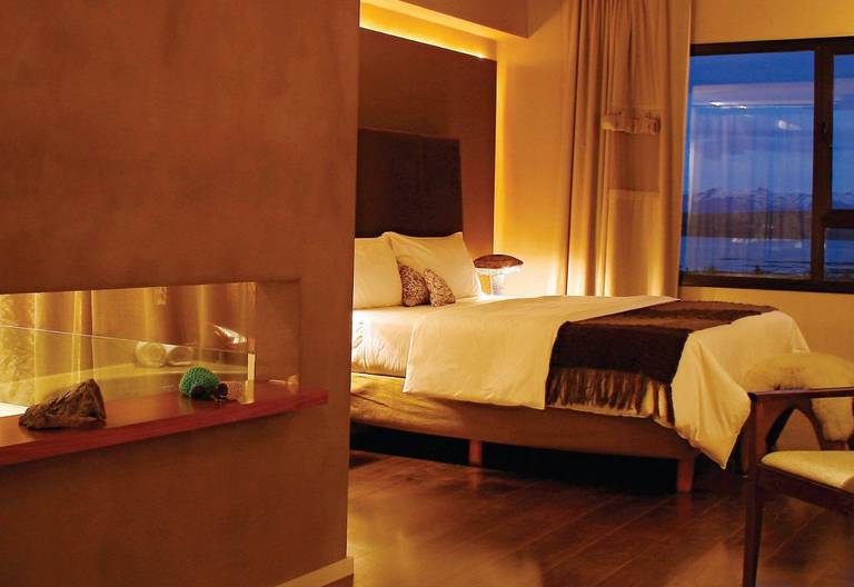 ESPLENDOR CALAFATE