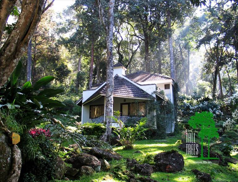 The Tall Trees Resort